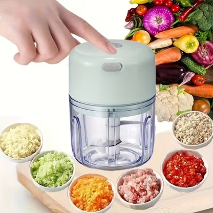 Hometexure Mini Electric Garlic Chopper | USB Rechargeable | Garlic Ginger Vegetable Mincer