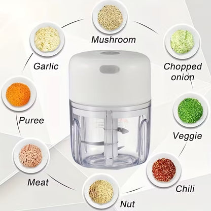 Hometexure Mini Electric Garlic Chopper | USB Rechargeable | Garlic Ginger Vegetable Mincer